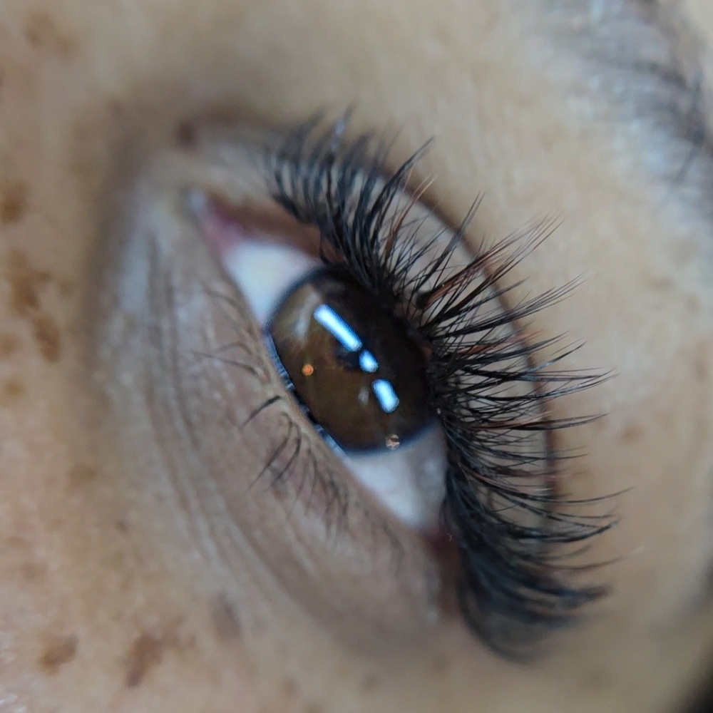 Volume 2 Hr at Gallerie 1922 in Cockeysville, MD