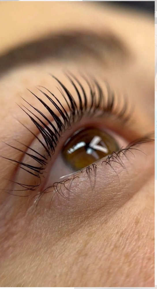 Lash Lift