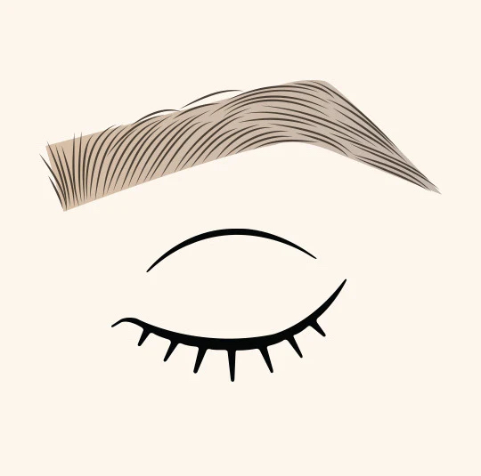 Henna Eyebrow Tint