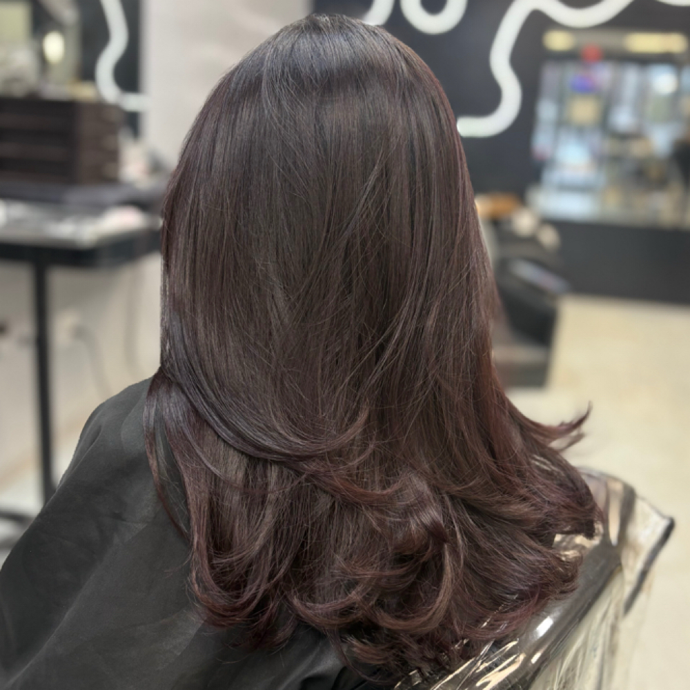 Color Completo / All-Over Color at Beauty Salon Latin in Raleigh, NC