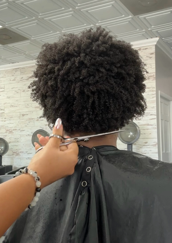 Shape Up
