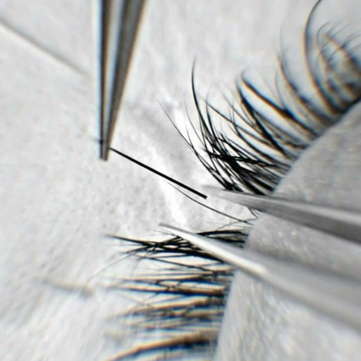 3 Week Classic Fill at Bloom Lash Bar in Wilmington, DE