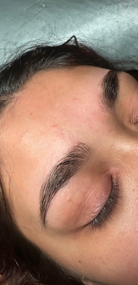 Brow Tinting at Sol’s Beauty in Racine, WI