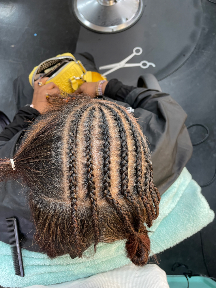 Fulani/ Tribal Braids