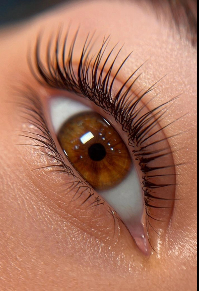 Lash Lift & Tint at Hair by Maeg in Siloam Springs, AR