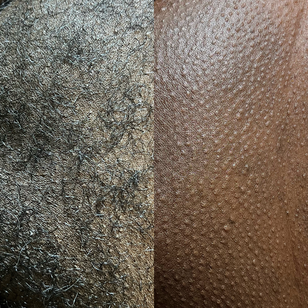 🚹 BRUH-ZILIAN WAX