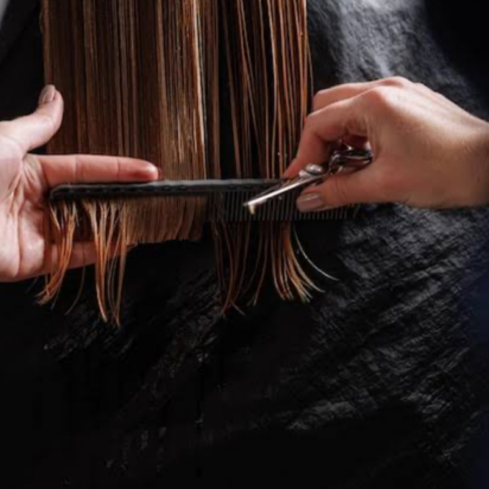 Wet Cut at Touch of Beauty in Stuart, FL