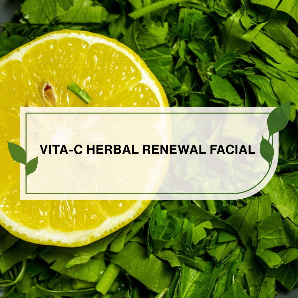 VitaC Herbal Renewal Facial at The Skin Mage Spa in Dallas, GA