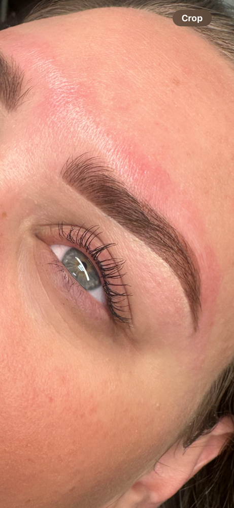 Hybrid Brow Tinting + Wax at BROWS & BEAUTY in Lufkin, TX