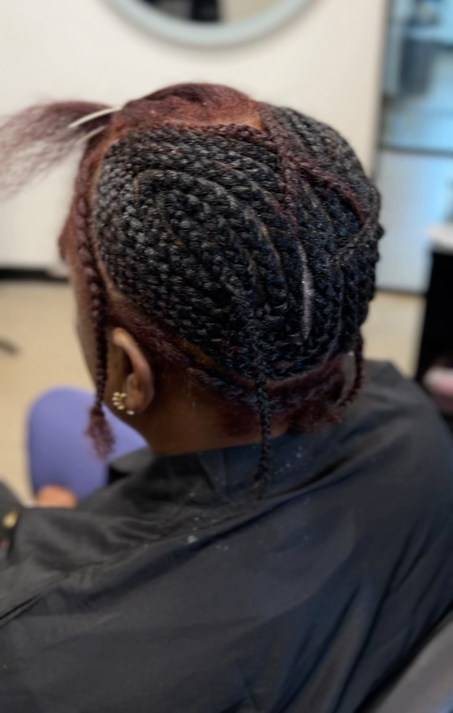 Shampoo Blow Dry With Braid Down