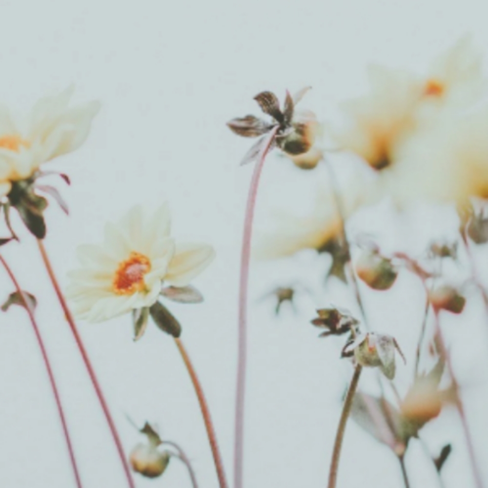 Gloss W/Blowdry at Oxford&Mane in Oxford, NC