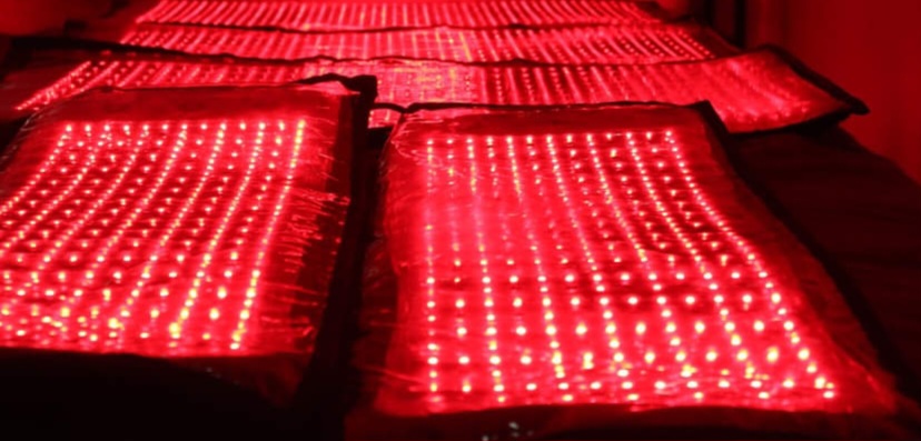 Red Light Prepaid Rebook at Holly's Healing Touch Massage therapist in Martinez, CA
