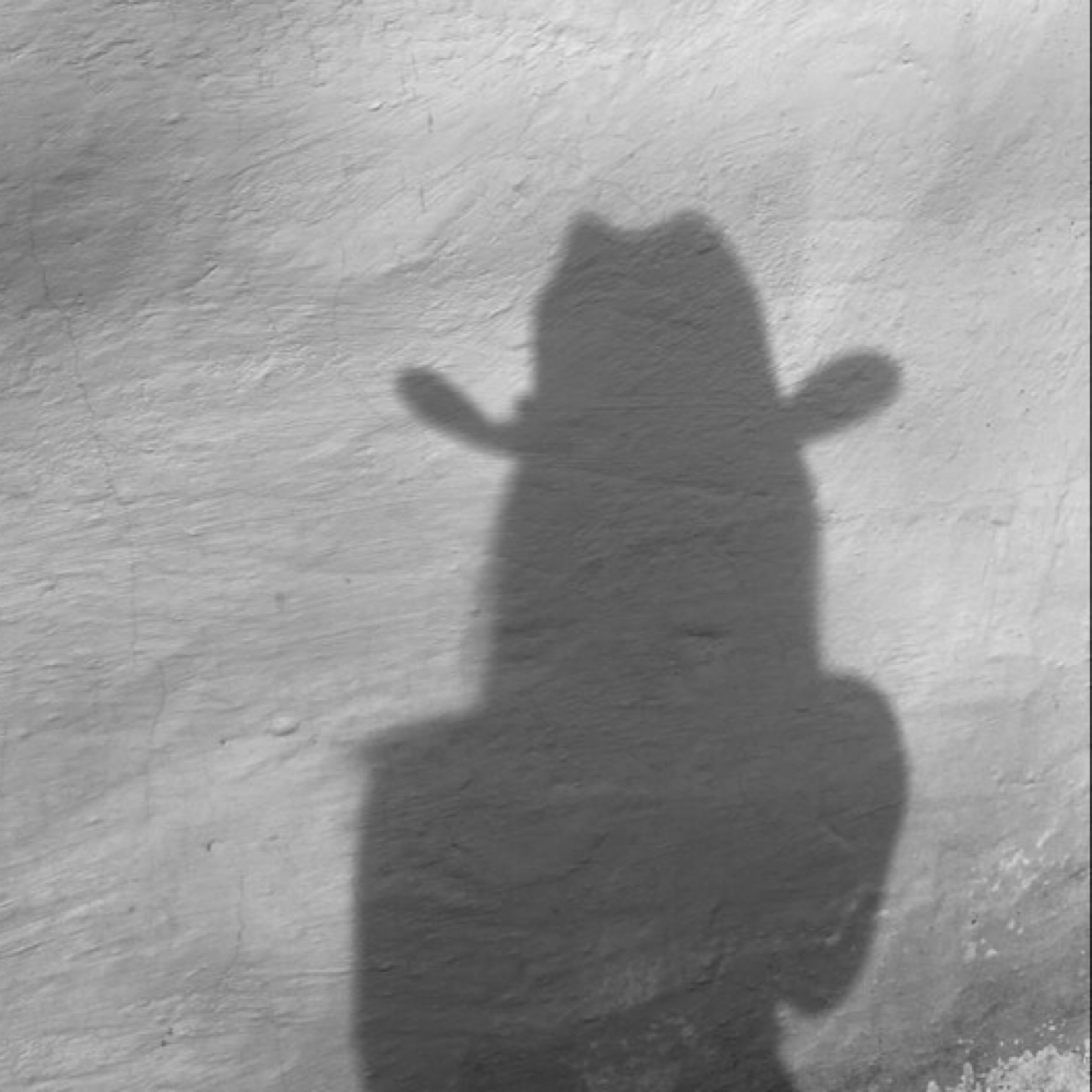 May blowout special at Desert Blonde Suite in Chandler, AZ