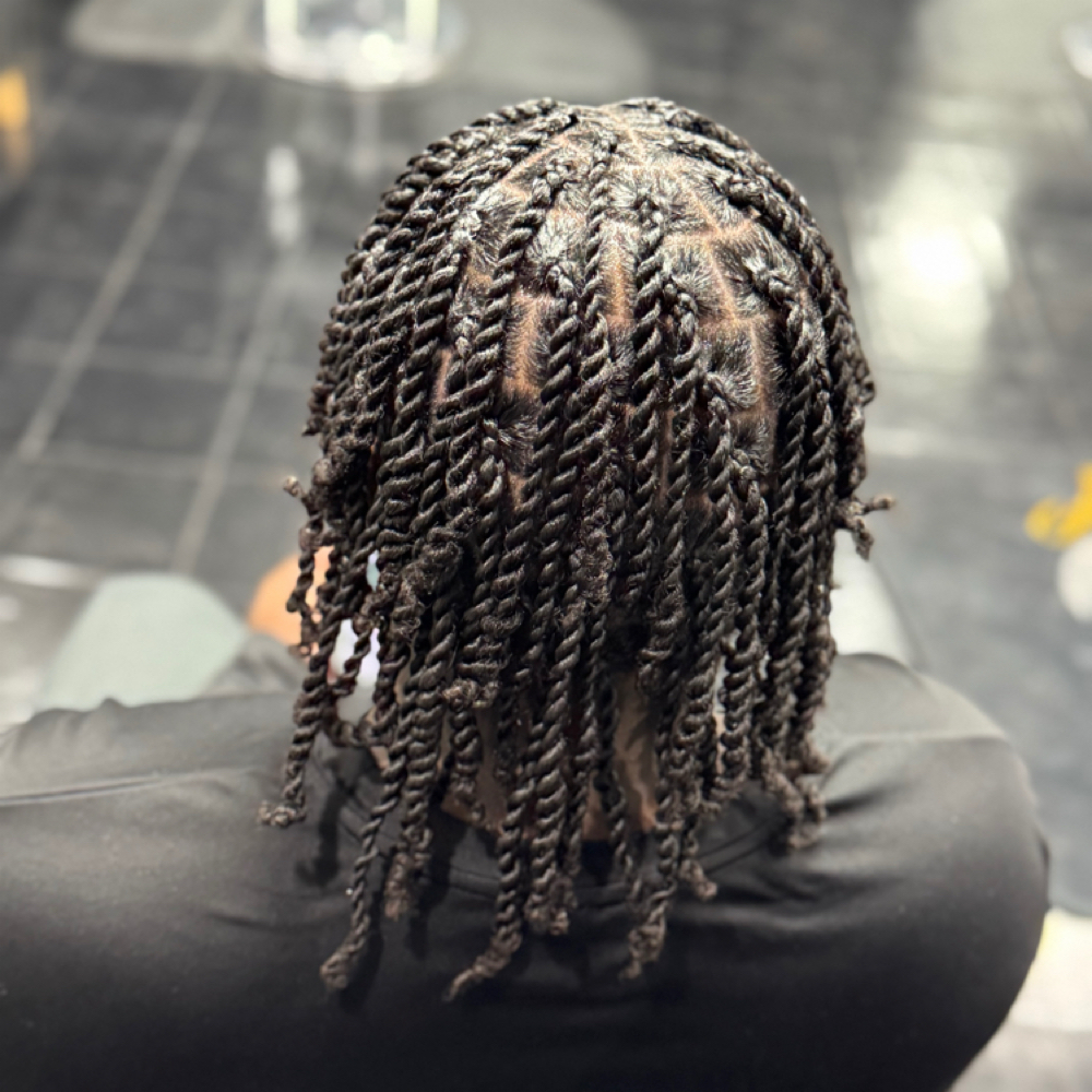 Two Strand Twist at Destined To Braid in Winterville, NC