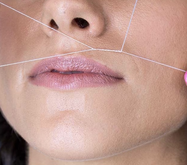 Lip