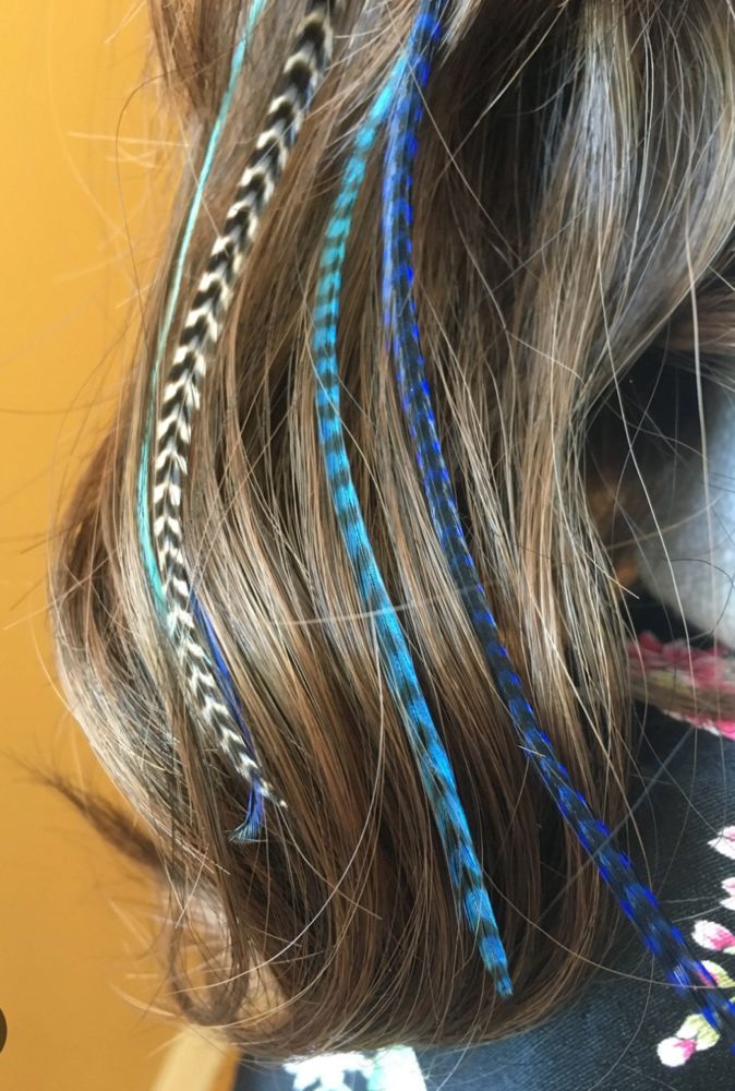 Feathers at Exquisite Lengths by Amanda in New Lenox, IL