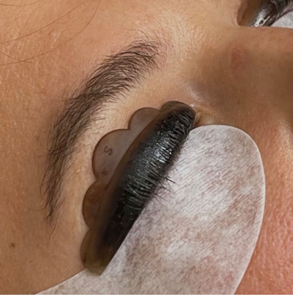 Lash Tint at Afterglow Salon and Spa in Frankfort, KY