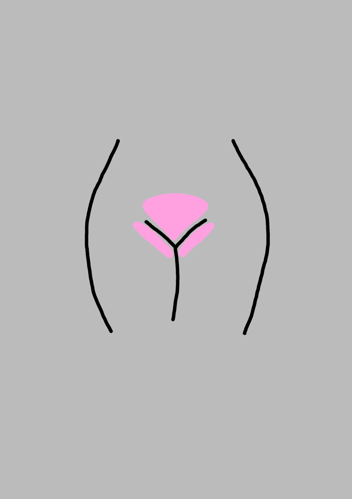 Bikini Full at Desert Rose Beauty in Bowling Green, OH