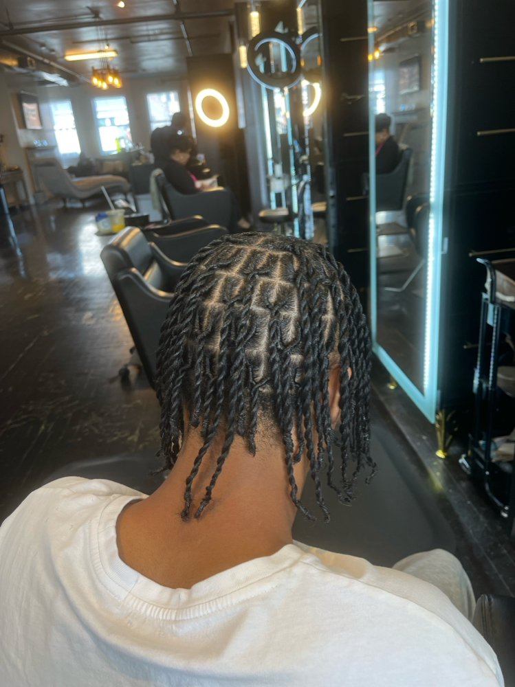 Natural Hairstyle (twist/plaits)