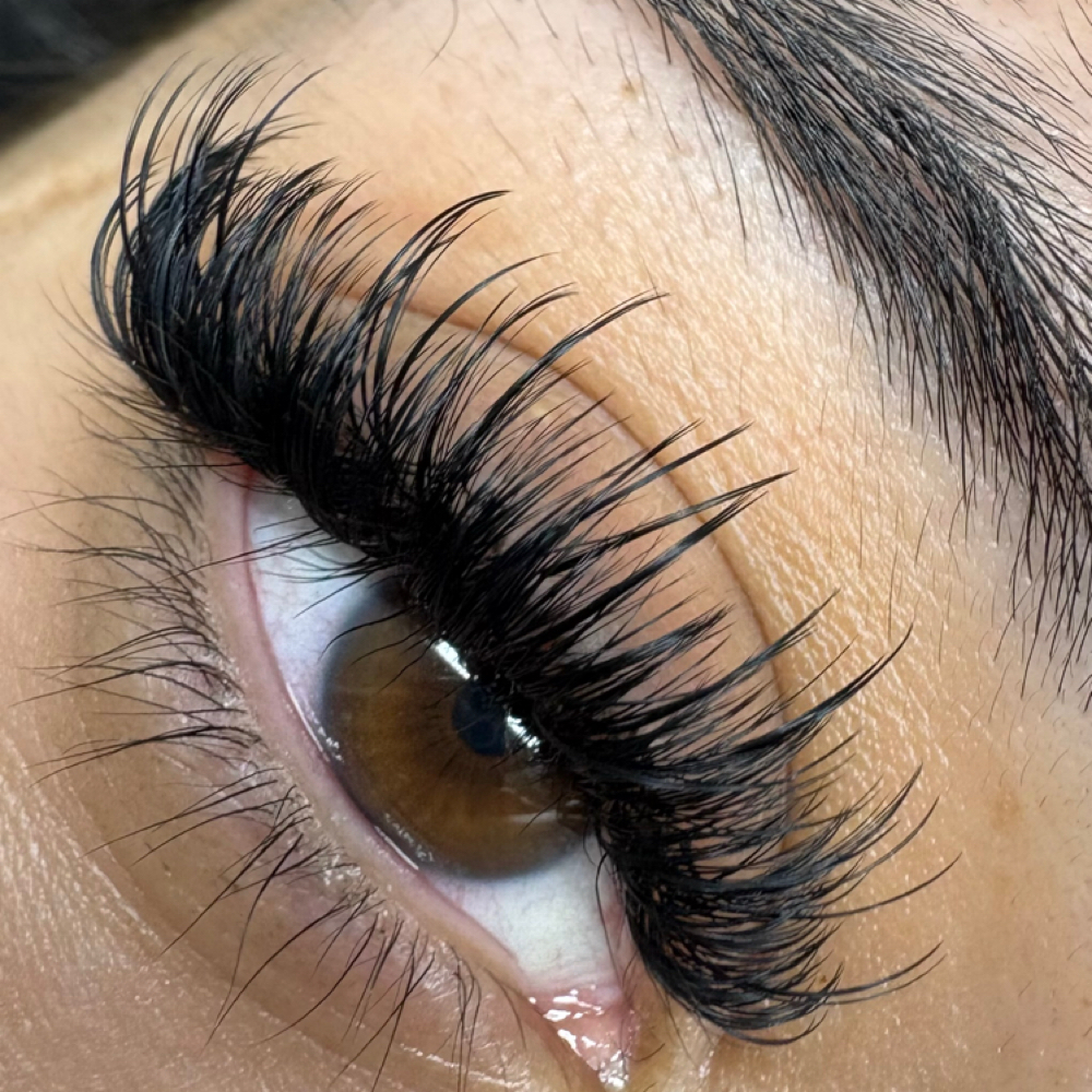 Mega Volume at Touch of Beauty by Megan in Stuart, FL