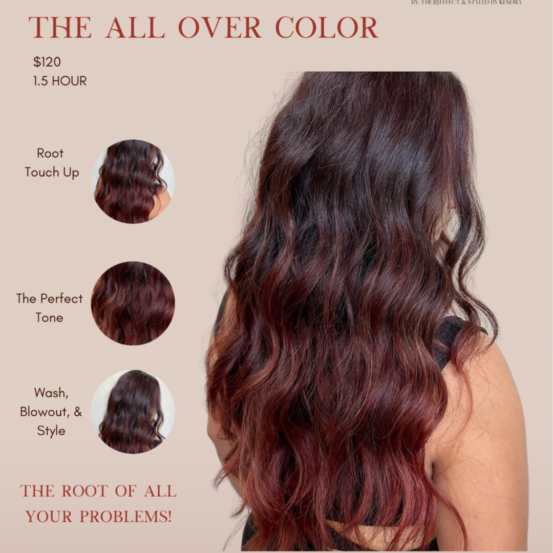 All Over Color at Blended Babes in Corpus Christi, TX