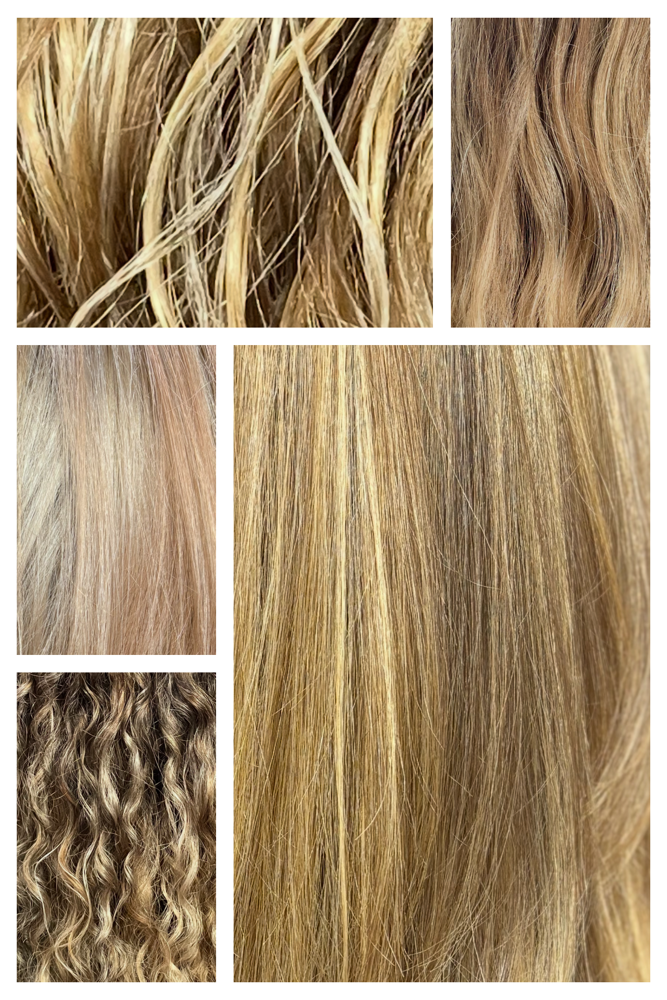Highlight & Lowlights✨ at Wicked Wildflower Beauty in Topeka, KS