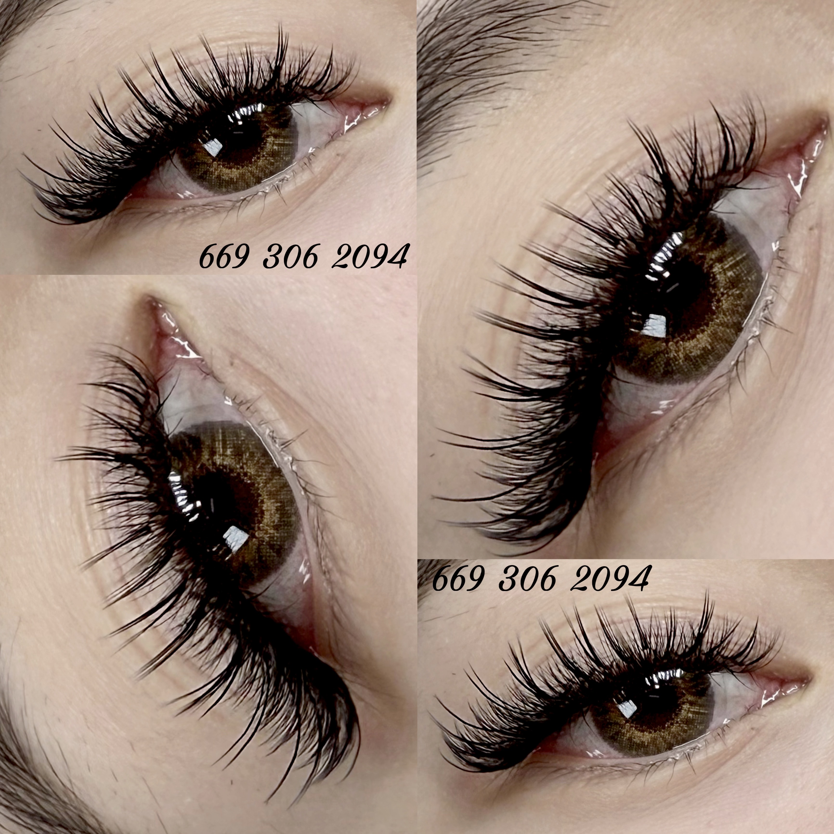 Wispy Eyelash (exclude removal)