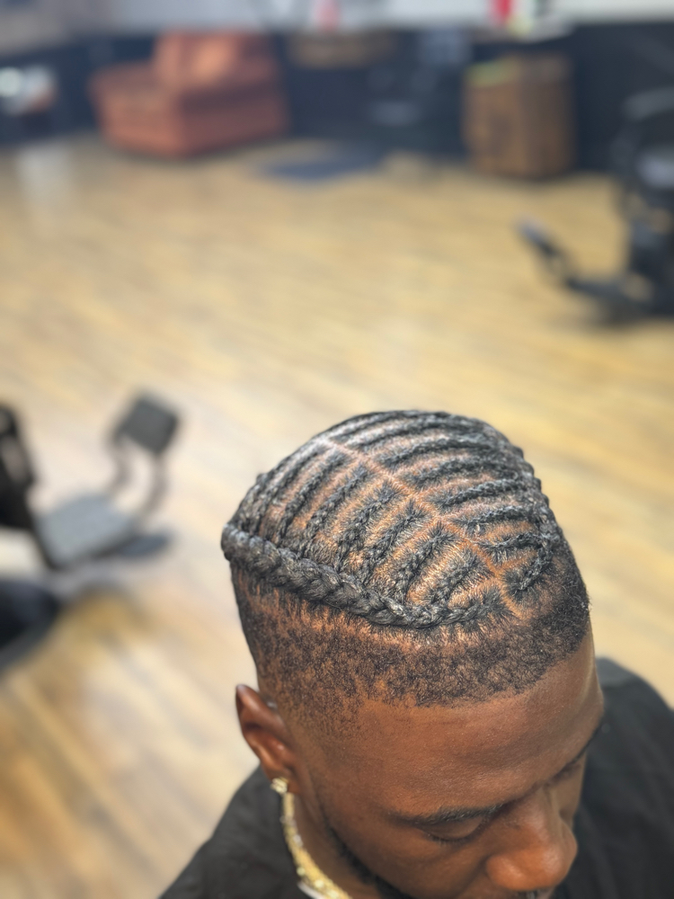 Natural Braided Styles