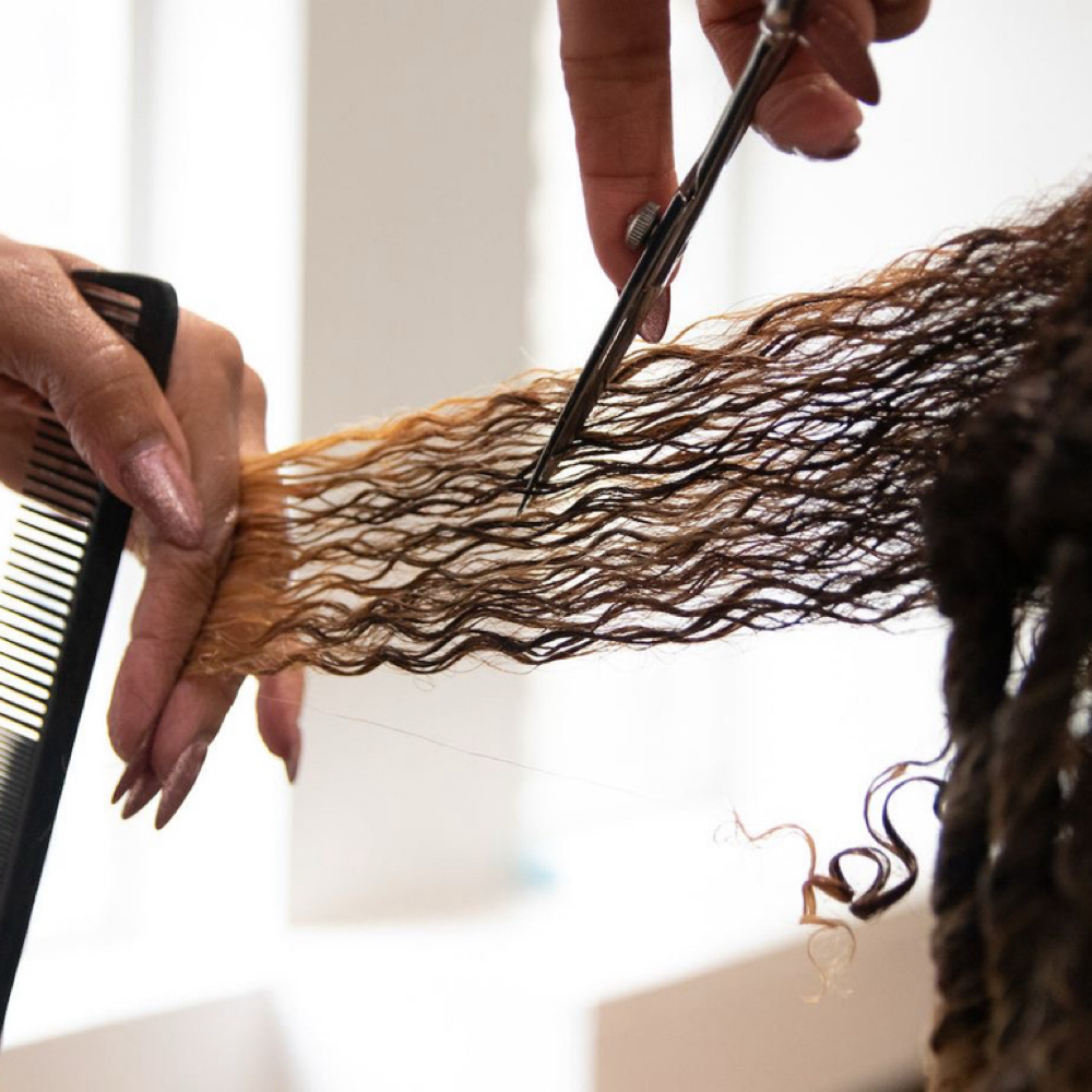 Curly Cut w/ Yessy at Shades Salon in Concord, NC