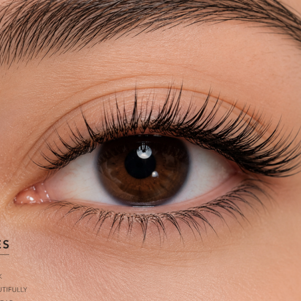 CLASSIC MINK FULLSET at Luv Lashes N Brows in Katy, TX