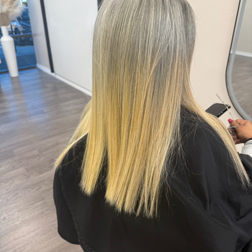 Shampoo, Cut & Styles