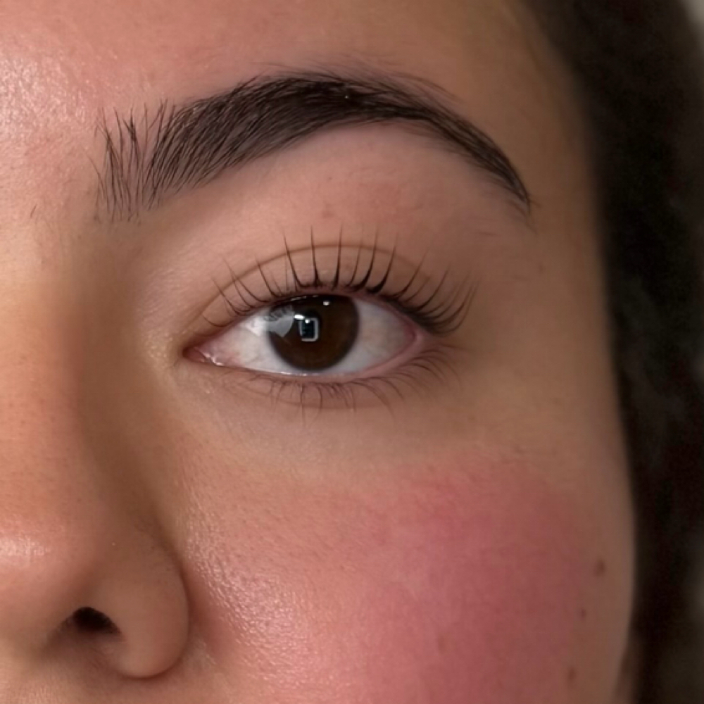 THE ELEVATED LASH EFFECT at BEAUTY IN THE DETAILS LLC in Josephine, TX