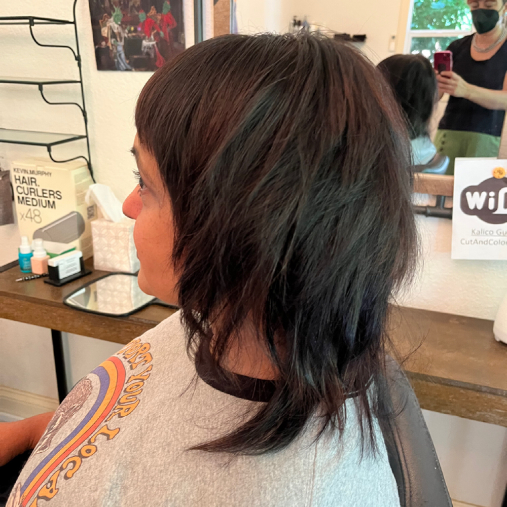 ALL OVER HAIR COLOR at Salon Roya in Portland, OR