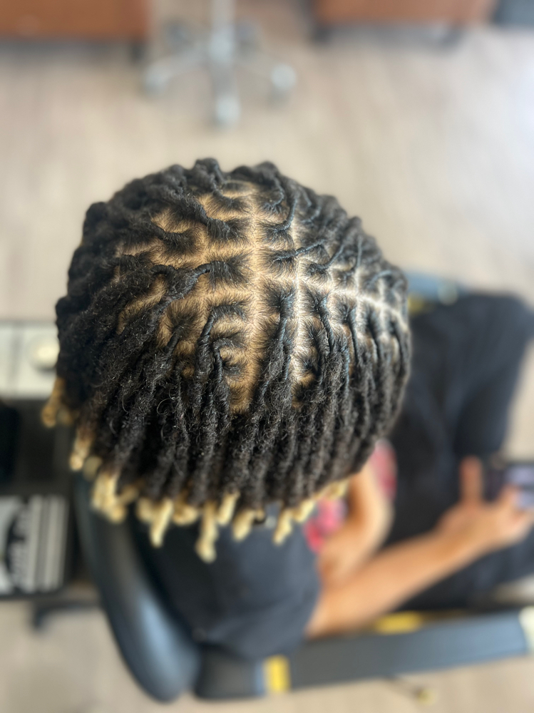 Small Loc Retwist