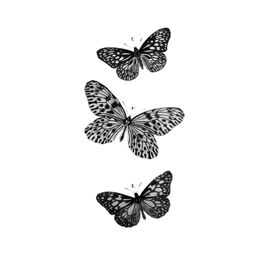 Repeatable B&W Butterflies