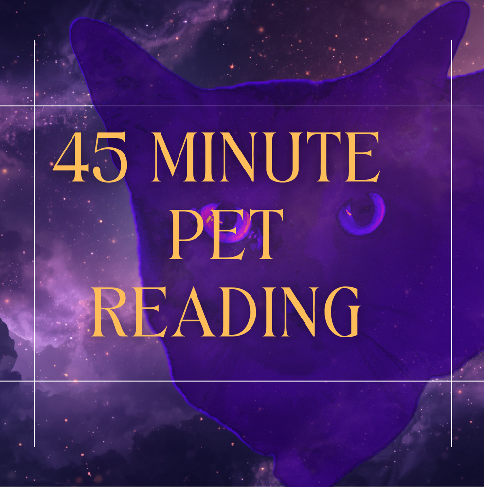 30 Minute Pet Channeled Reading at Mistical Guidance in Gainesville, FL