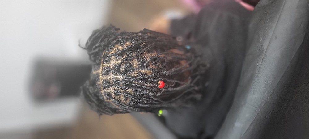 Medium Starter Locs