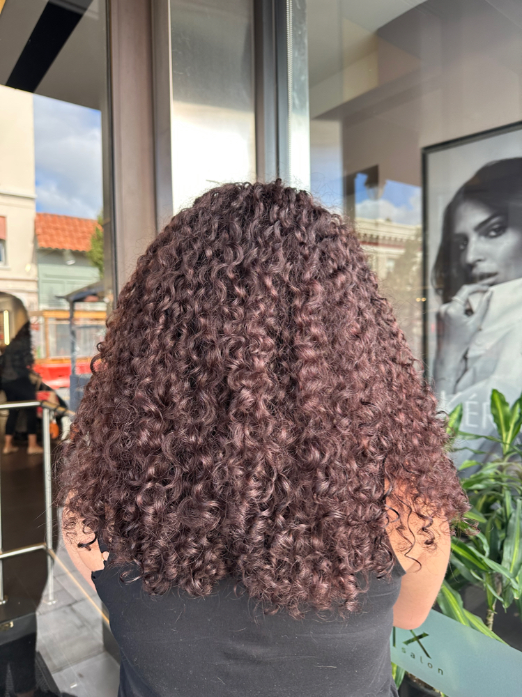 Color Curly Haircut