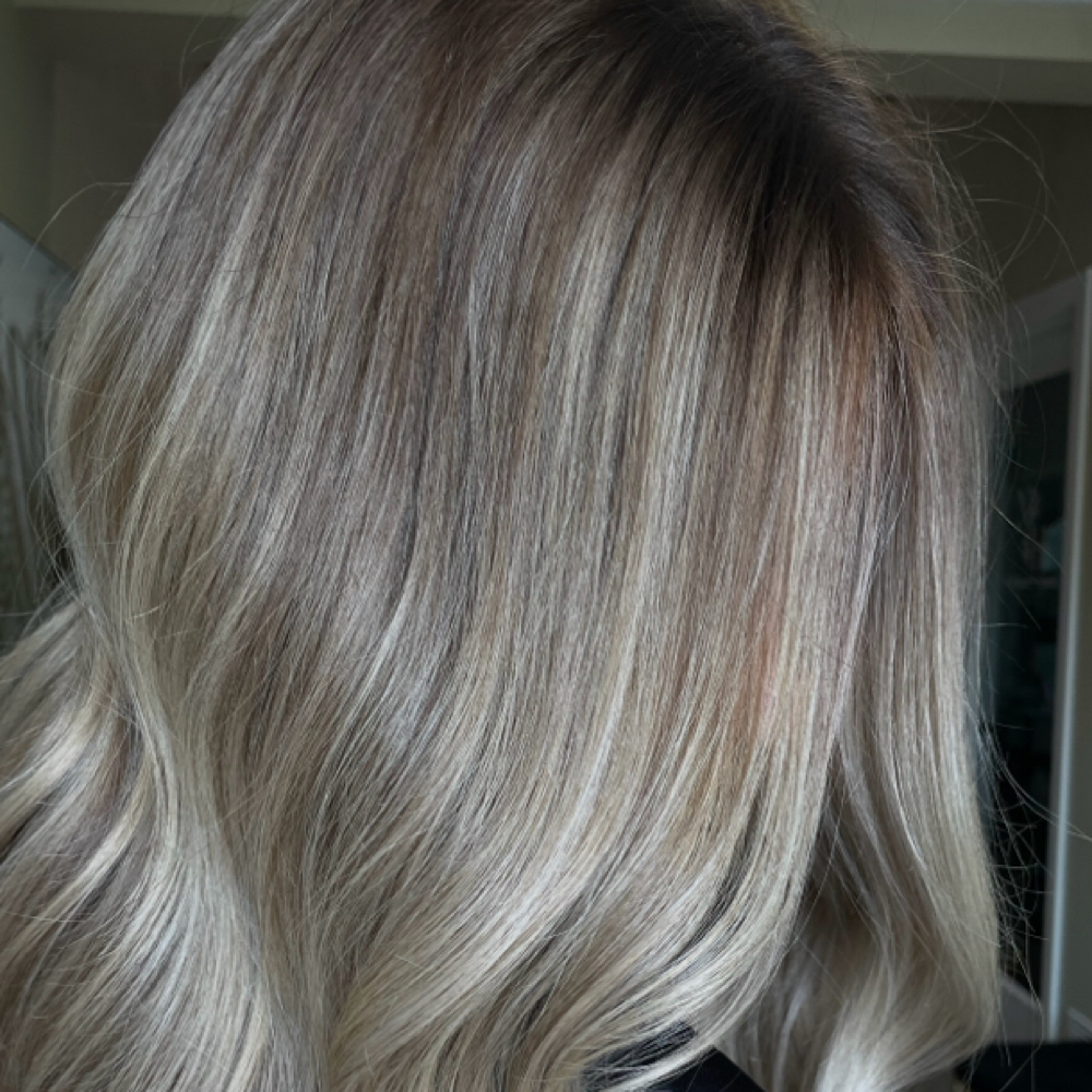 Shadow Root at Sophia Bicknell in Portland, ME