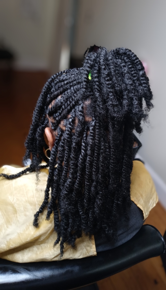 Spring Twist