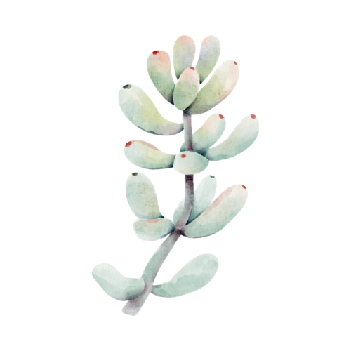 Half Leg Wax at Saddle Up Waxing in Burley, ID