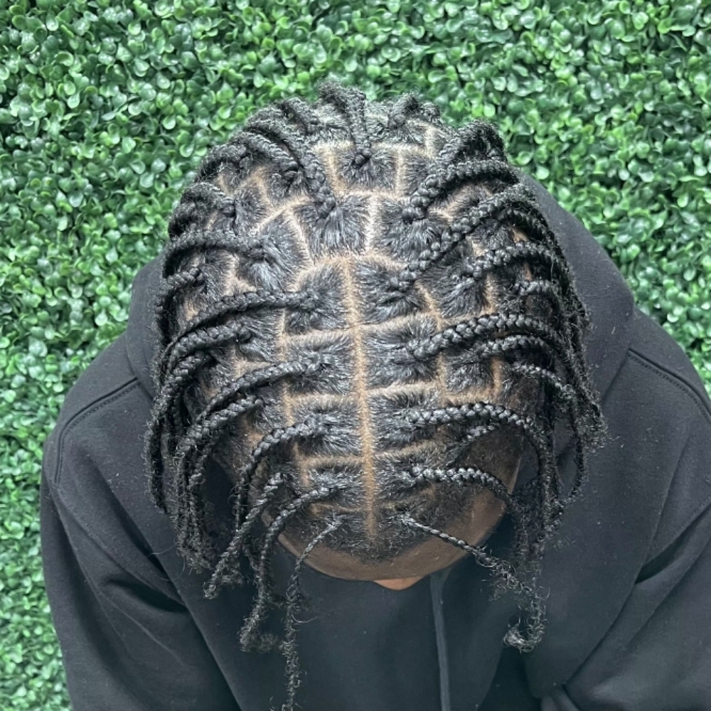 Natural Hair Box Braids at Shear Genius Beauty Bar in Lafayette, LA