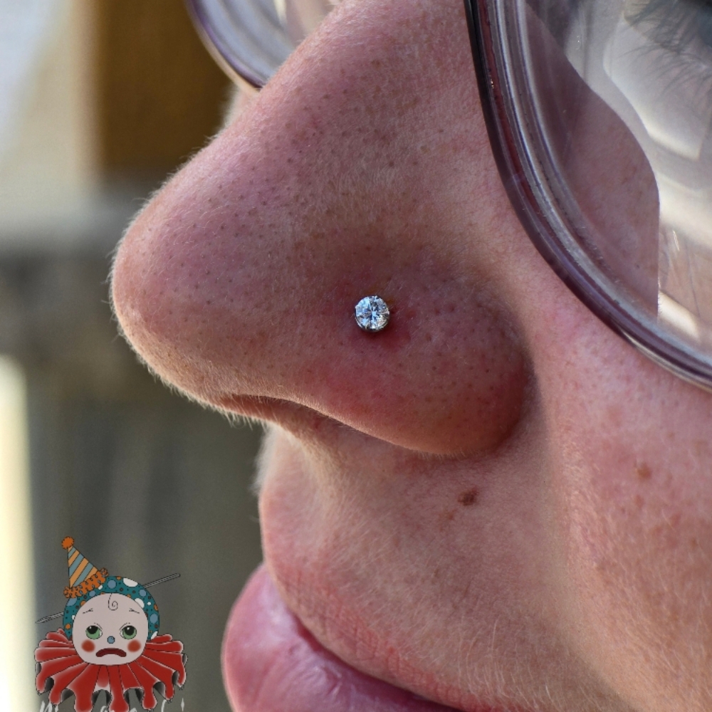 Nostril (Single) at Ethereal Adornments Pierced By Cambria in Murrieta, CA