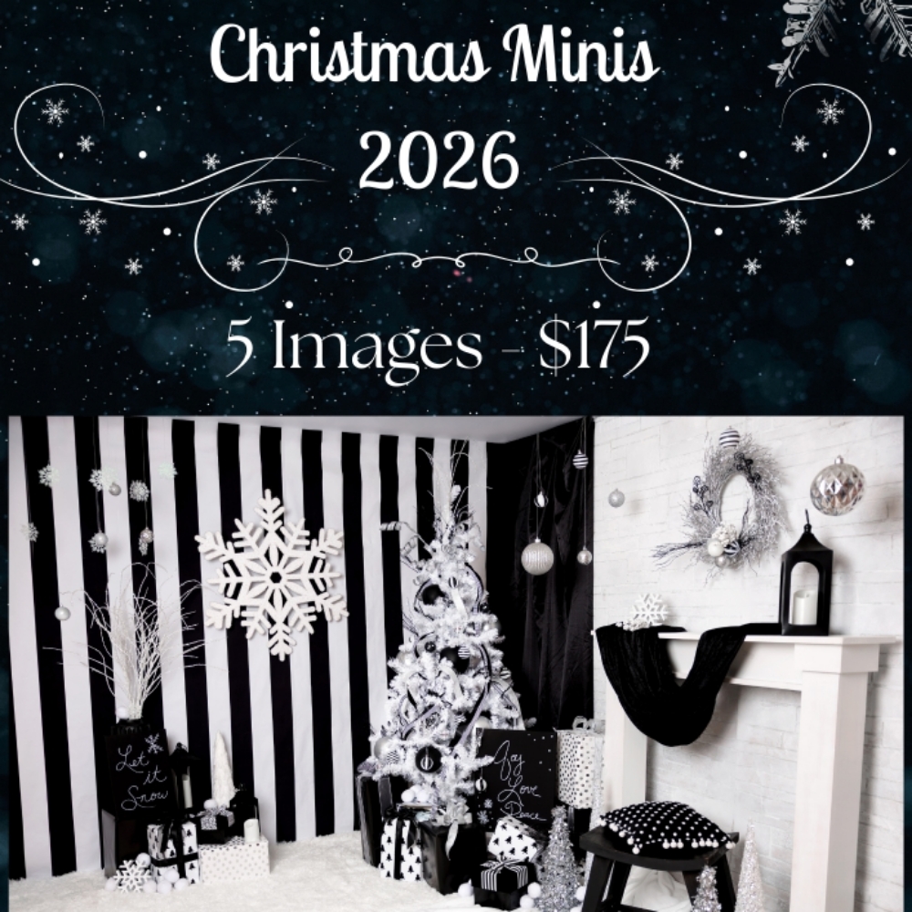 Christmas Minis 2026 at Little Sprouts Photography in Cape Girardeau, MO
