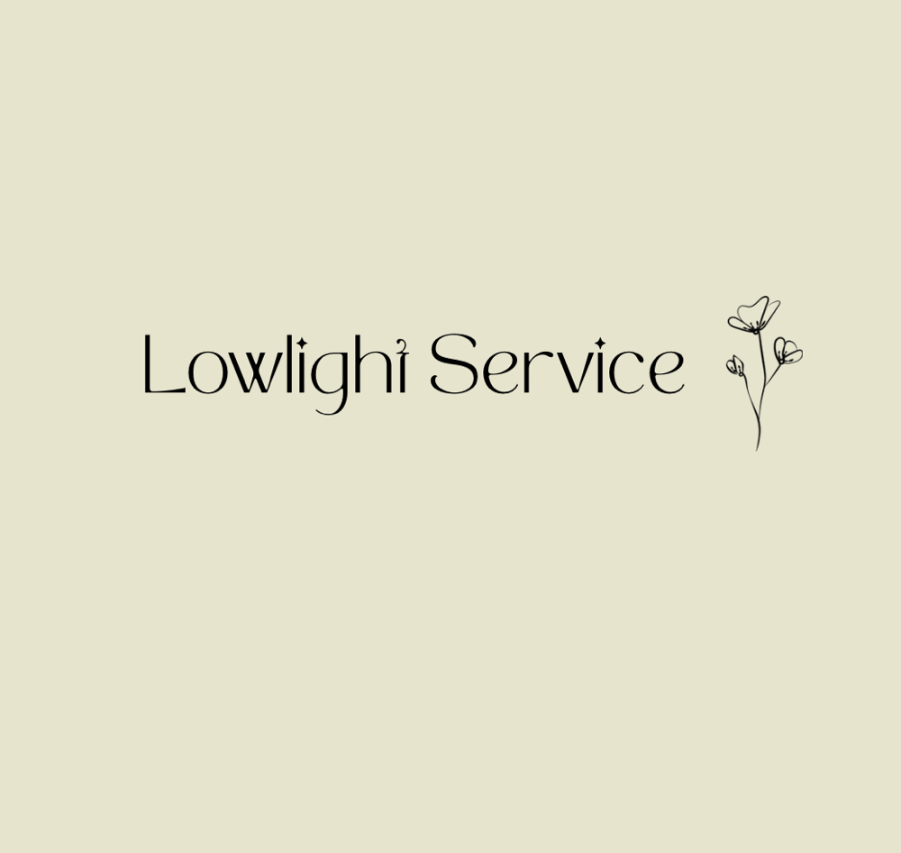 Lowlight Service at Hair By Chey in New Bern, NC