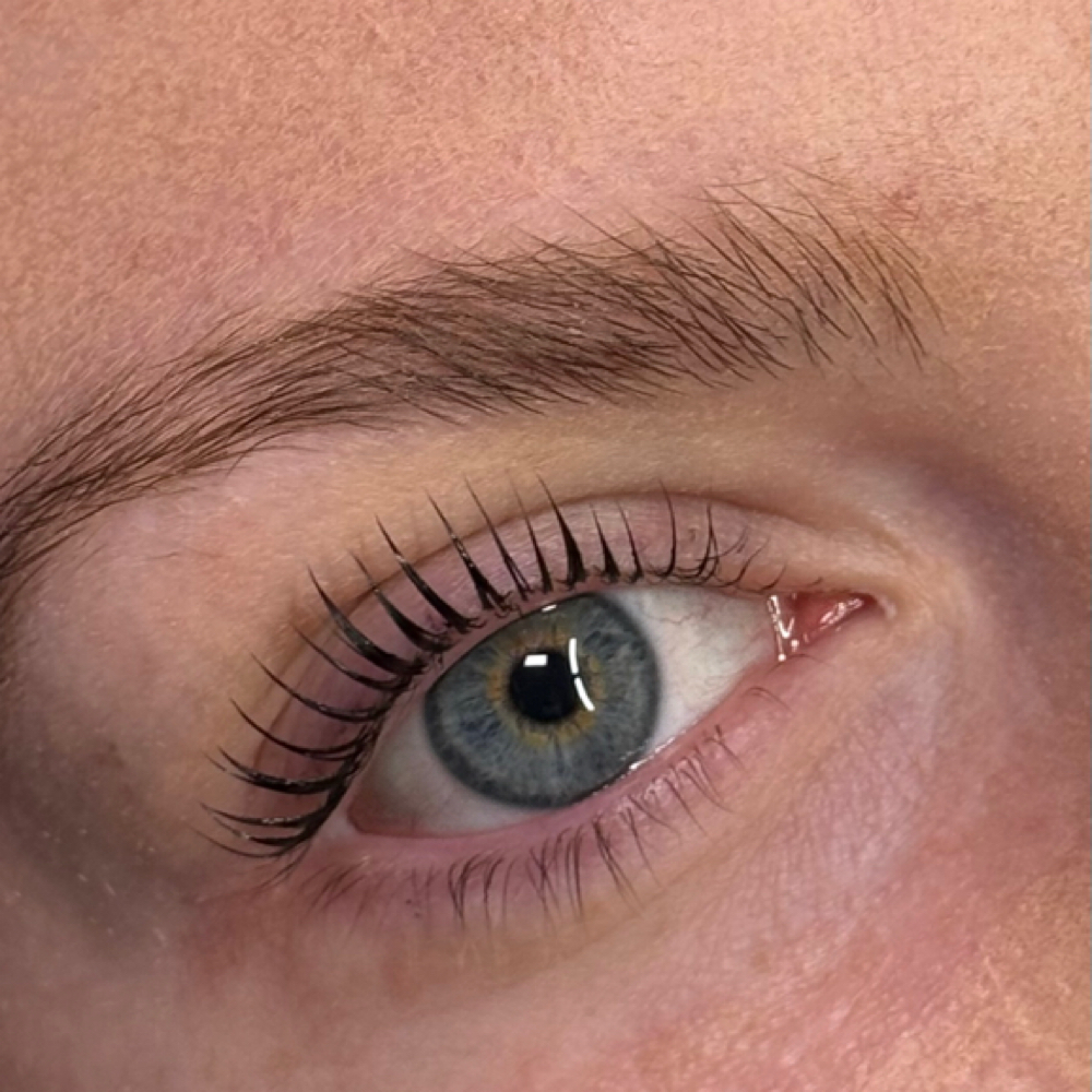 Korean Lash Lift at Taylor Marie Studio in Richardson, TX