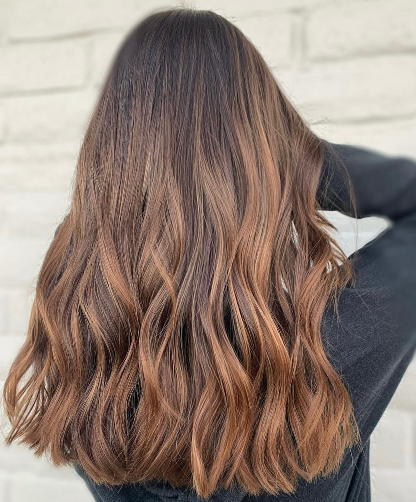 Balayage + Cut/Style (JH)