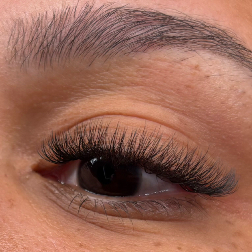 Lash Fill