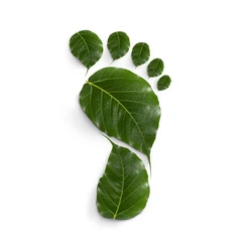 Child/Teen Specific Need Foot Zone