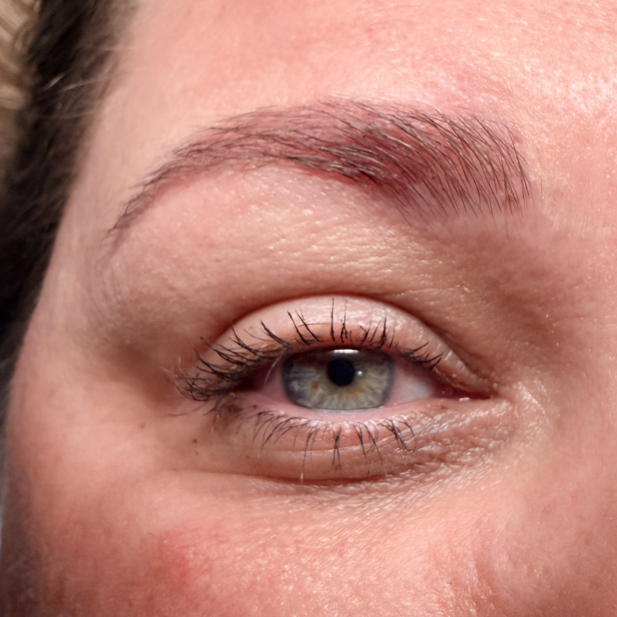 Brow Wax at Fields Beauty and Wellness in Bradenton, FL